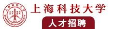 伊人搞鸡影院在线观看