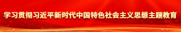 操比黄色片学习贯彻习近平新时代中国特色社会主义思想主题教育