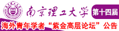 肏屌妞南京理工大学第十四届海外青年学者紫金论坛诚邀海内外英才！